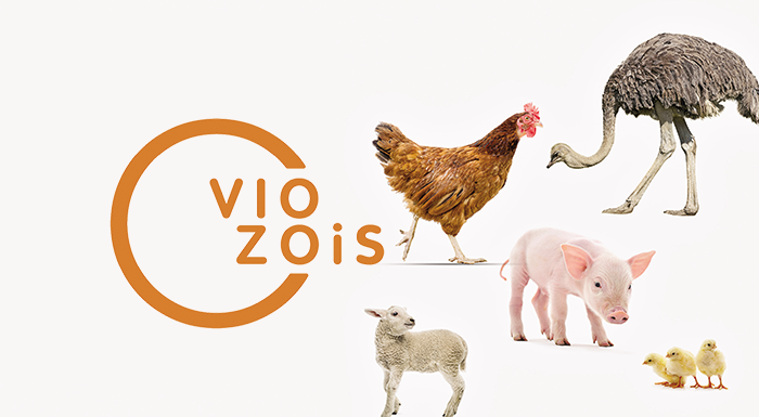 viozois-mia-olokliromeni-diatrofiki-protasi-apo-mia-koryfaia-elliniki-etaireia-209877
