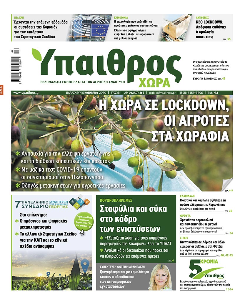 fyllo-262-paraskevi-6-noemvriou-2020-213115