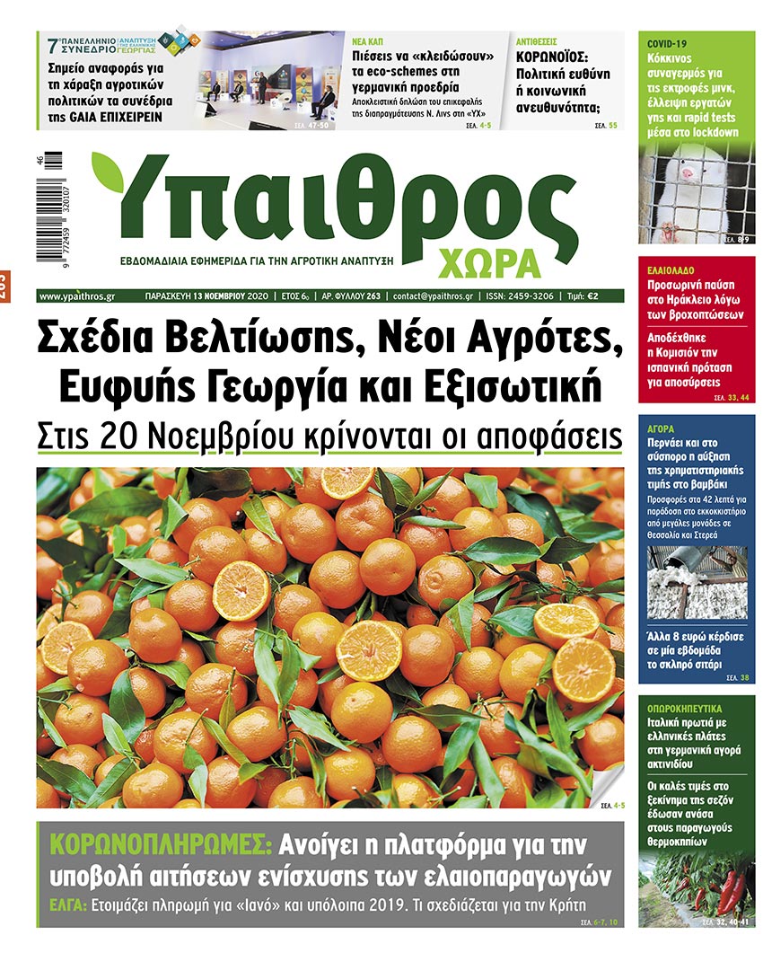 fyllo-263-paraskevi-13-noemvriou-2020-213842