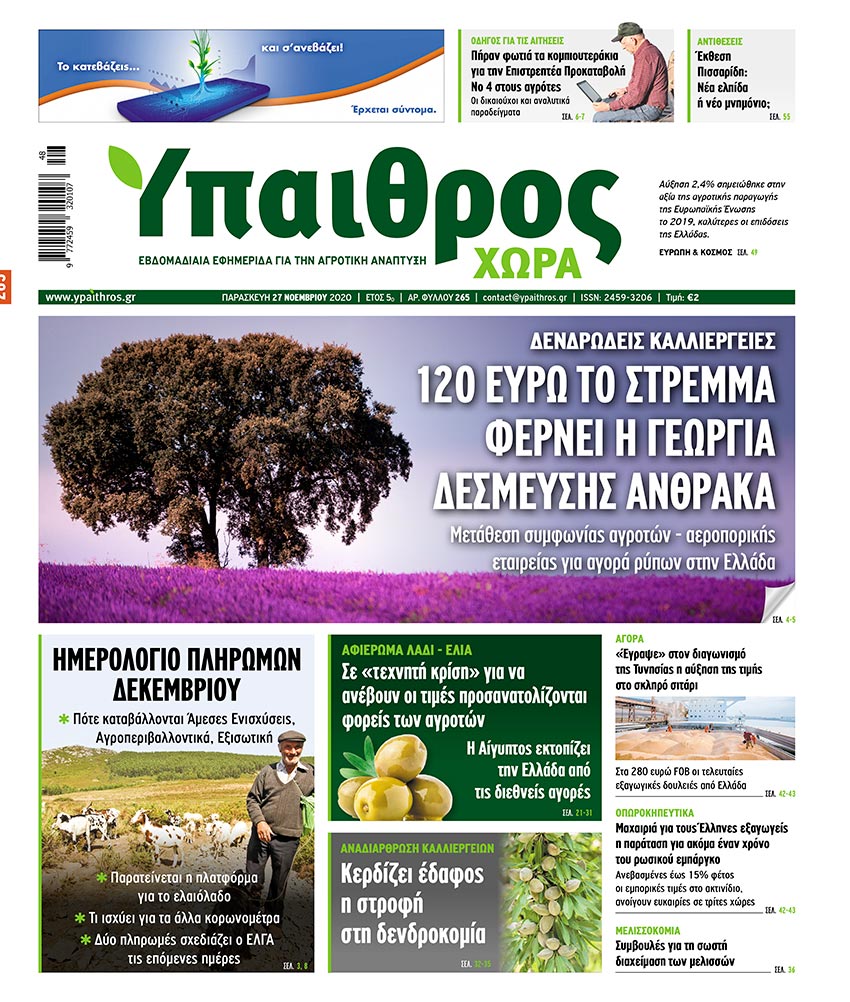 fyllo-265-paraskevi-27-noemvriou-2020-215102
