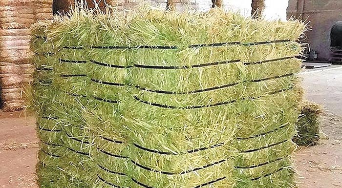 nees-katangelies-ktinotrofon-gia-fouskomenes-times-zootrofon-214584