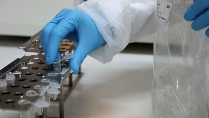 coronavirus