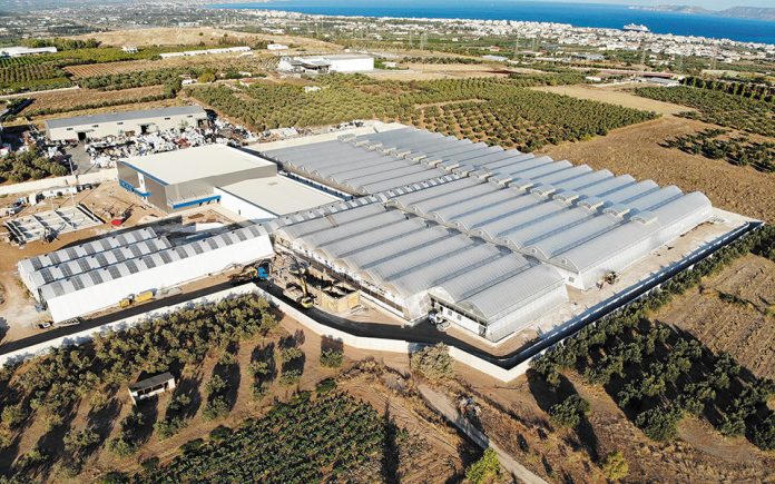 Φαρμακευτική κάνναβη made in Greece Φαρμακευτική κάνναβη made in Greece
