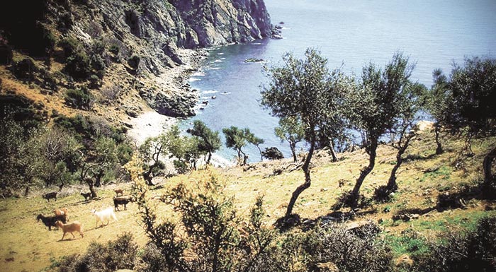 i-samothraki-schediazei-meiosi-ton-aigoprovaton-213014