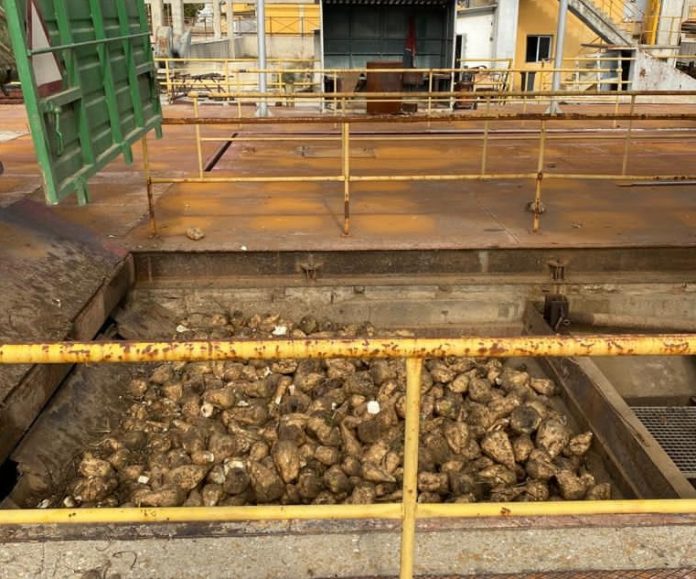 Ξεκίνησε σήμερα Δευτέρα 2/11 η παραλαβή τεύτλων από τη Royal Sugar στο εργοστάσιο των Σερρών, Ξεκίνησε σήμερα Δευτέρα 2/11 η παραλαβή τεύτλων από τη Royal Sugar στο εργοστάσιο των Σερρών,
