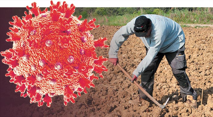 odigos-µetakiniseon-gia-agrotikes-ergasies-ntoµino-sti-diathesi-kipeftikon-kai-kreatos-213269
