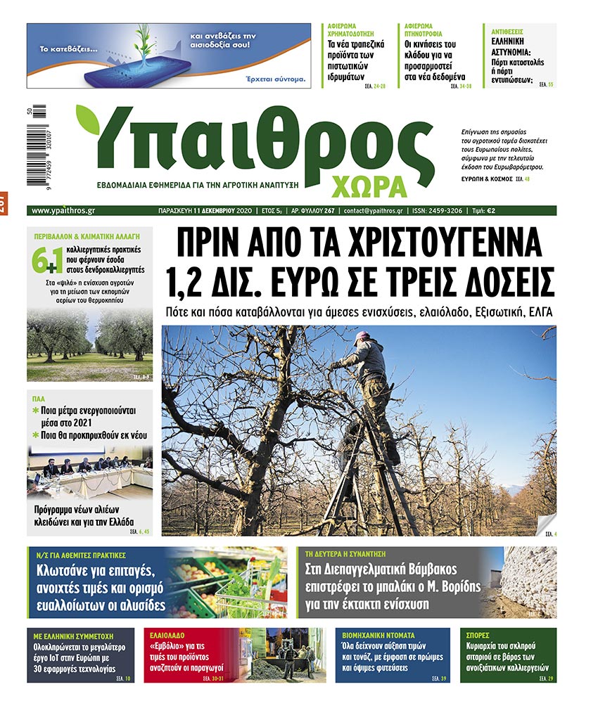 fyllo-267-paraskevi-11-dekemvriou-2020-216593