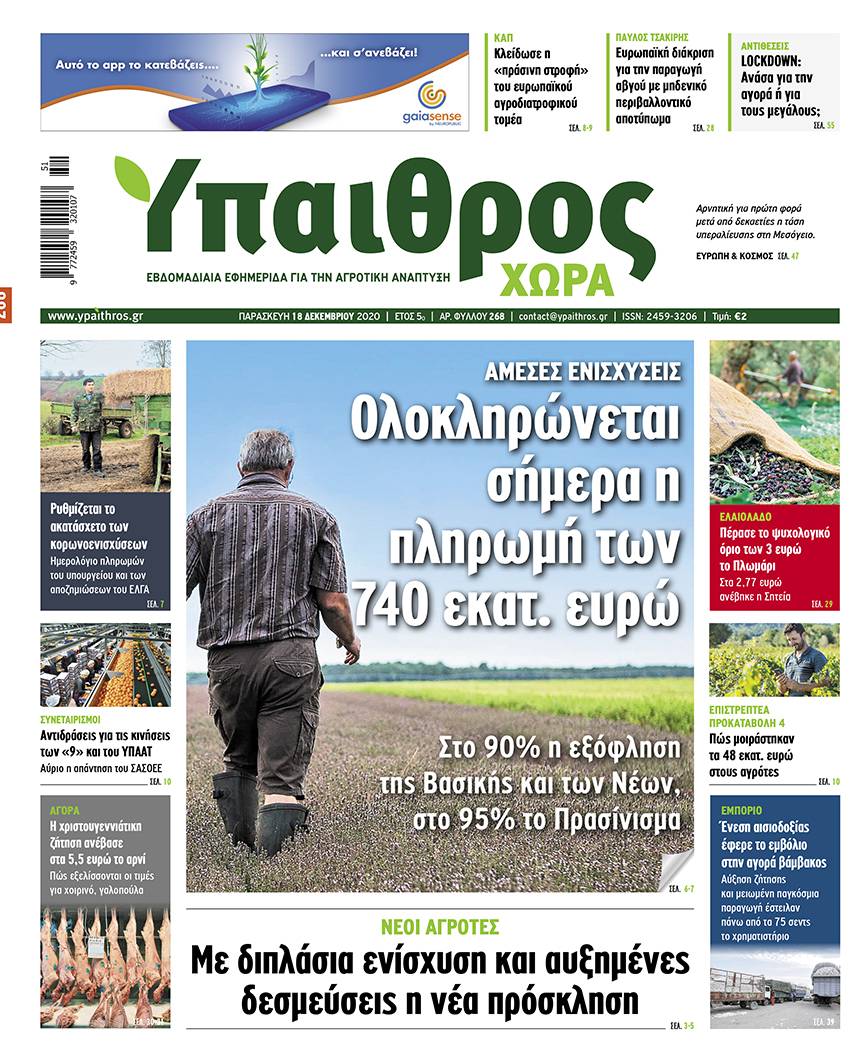 fyllo-268-paraskevi-18-dekemvriou-2020-217344