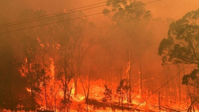 Ανασκόπηση 2020: Από τις πλημμύρες μέχρι τις επιδρομές ακρίδων η Ανασκόπηση 2020: Από τις πλημμύρες μέχρι τις επιδρομές ακρίδων η