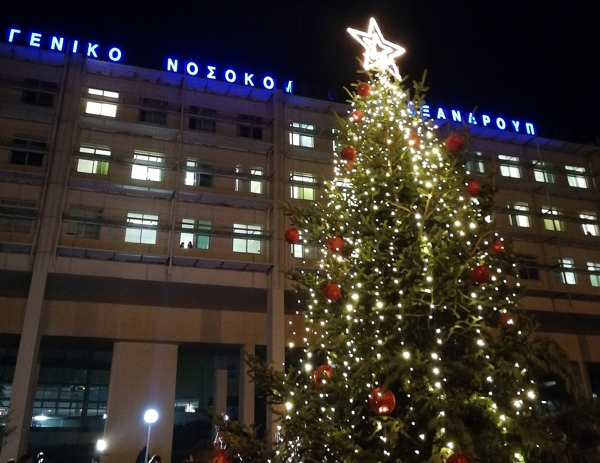 ena-fysiko-elato-sto-nosokomeio-tis-alexandroupolis-itan-to-proto-dentro-pou-fotistike-stin-poli-216145