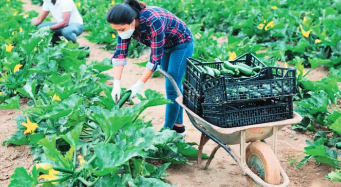 effat-fooddrinkeurope-doste-proteraiotita-ston-emvoliasmo-ton-agrergaton-218492