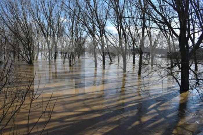 evros-plimmyrismena-65-000-str-katastrofes-se-sitira-midiki-kai-kipeftika-219581