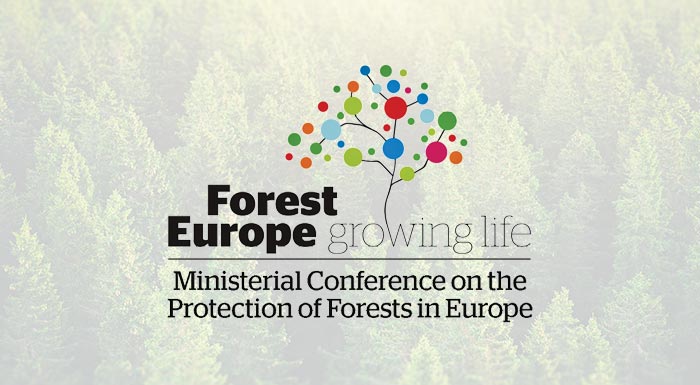 forest-europe-fthinei-synechos-i-apascholisi-stin-elliniki-dasokomia-220534