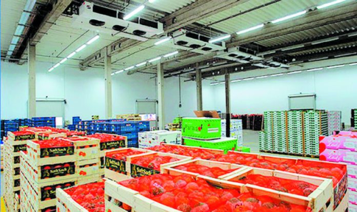 frouta_lahanika_logistics