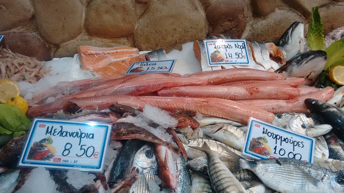 institouto-alieftikis-erevnas-fish-stories-gia-tous-karcharies-tous-kefalous-kai-ta-chelia-220675