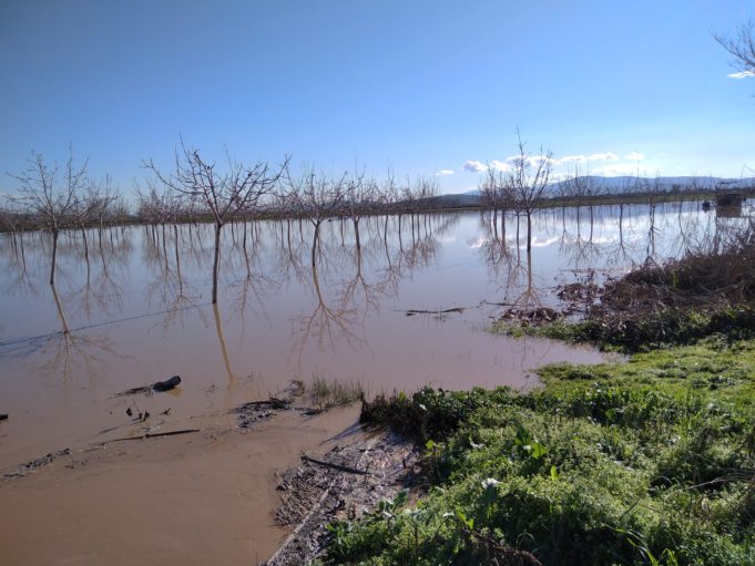 Καρδίτσα: Χιλιάδες στρέμματα πλημμύρισαν στον Δήμο Παλαμά