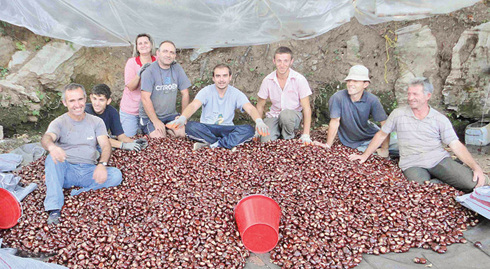 i-melivoia-agias-kentro-kastanou-gia-oli-tin-ellada-220067