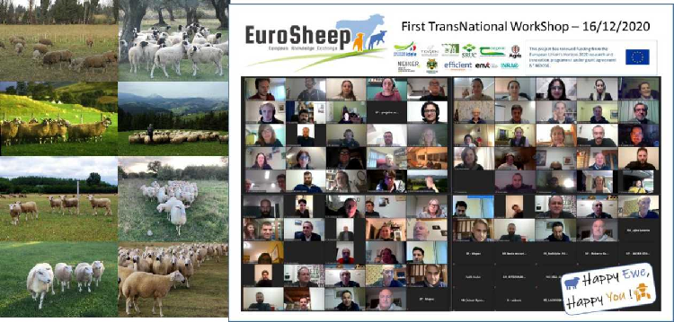 oi-anagkes-prokliseis-stin-provatotrofia-sto-epikentro-tis-1is-synantisis-tou-eurosheep-223834