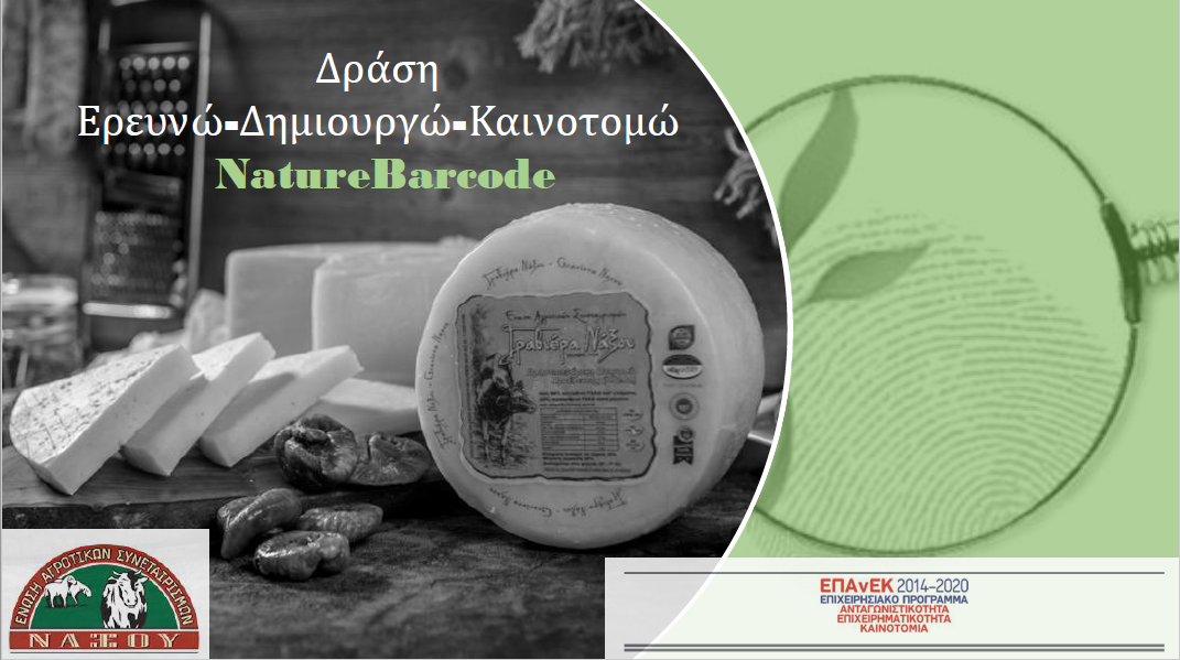 eas-naxou-erevno-dimiourgo-kainotomo-kainotomo-programma-gia-tin-anadeixi-tis-gravieras-223138