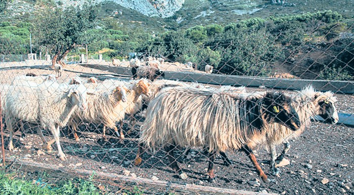 opekepe-oi-kataliktikes-prothesmies-ton-diadikasion-pou-trechoun-afto-to-diastima-221875
