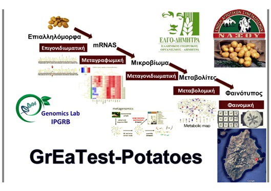 e-a-s-naxou-kai-elgo-anadeiknyoun-tin-axia-tis-patatas-naxou-me-nees-technologies-226519