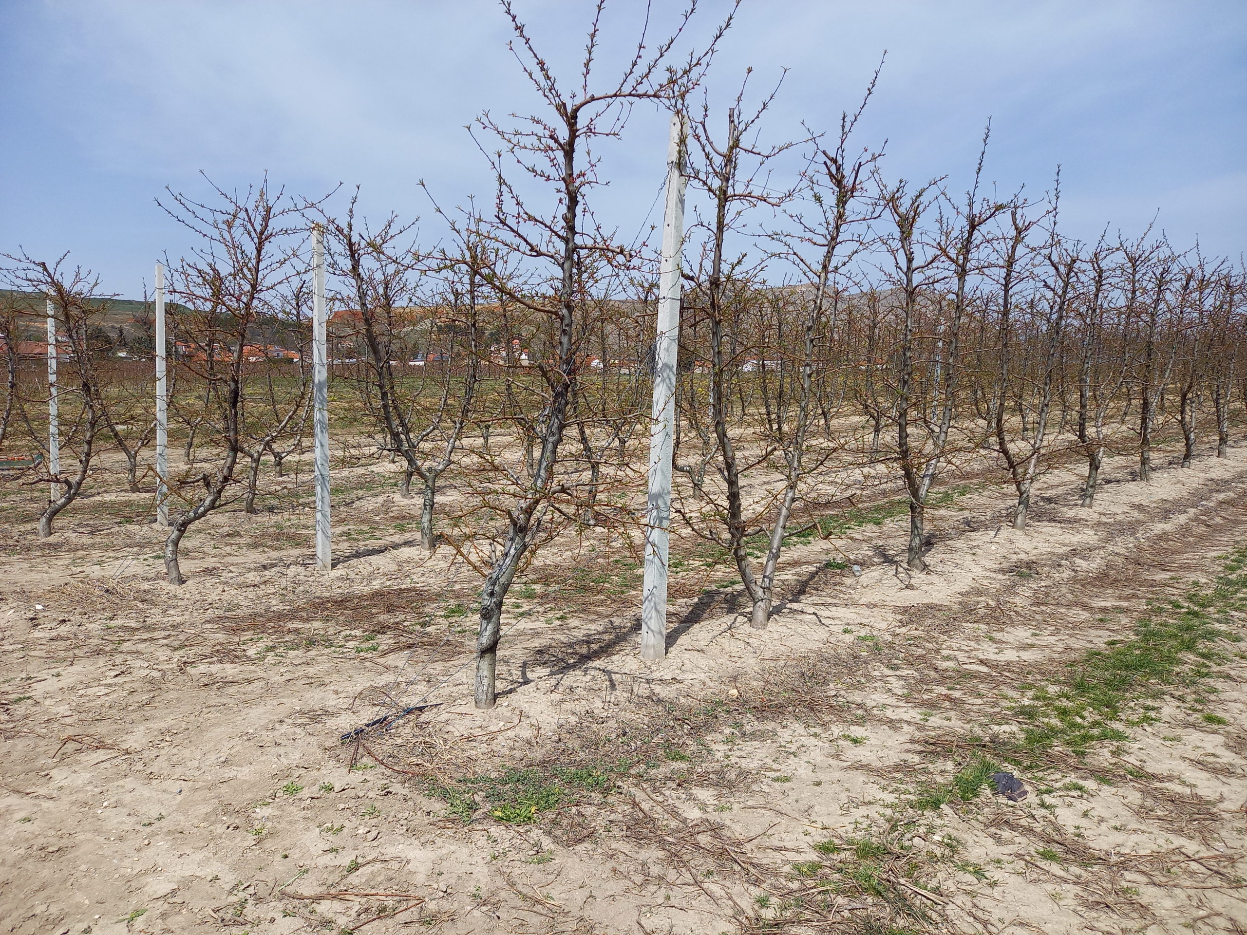 amyntaio-kinitopoiisi-ton-agroton-tin-tetarti-14-2-gia-tis-zimies-apo-ton-pageto-vinteo-228229