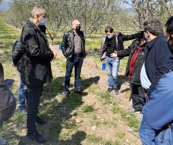 elassona-megales-zimies-apo-pageto-kalliergeies-aytopsia-dimou-elga