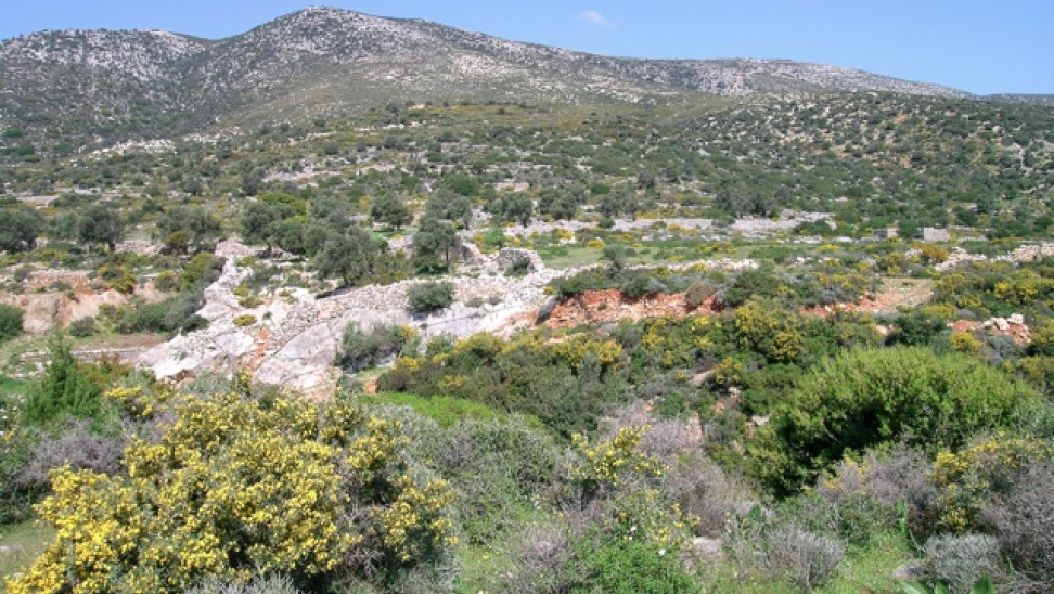 apofasi-ste-mi-dasikes-oi-fryganodeis-ektaseis-228445