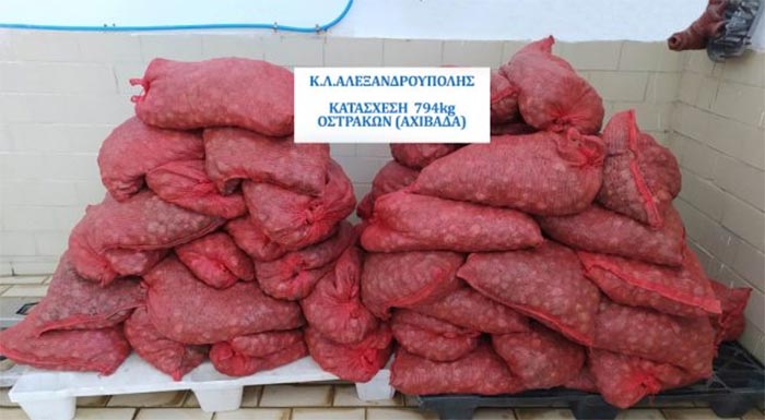 alexandroupoli-syllipseis-kai-kataschesi-ostrakon-akatallilon-gia-anthropini-katanalosi-229418