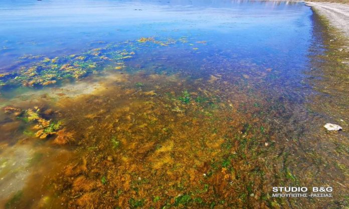 paralia-baftike-kokkini-stin-argolida-fotos
