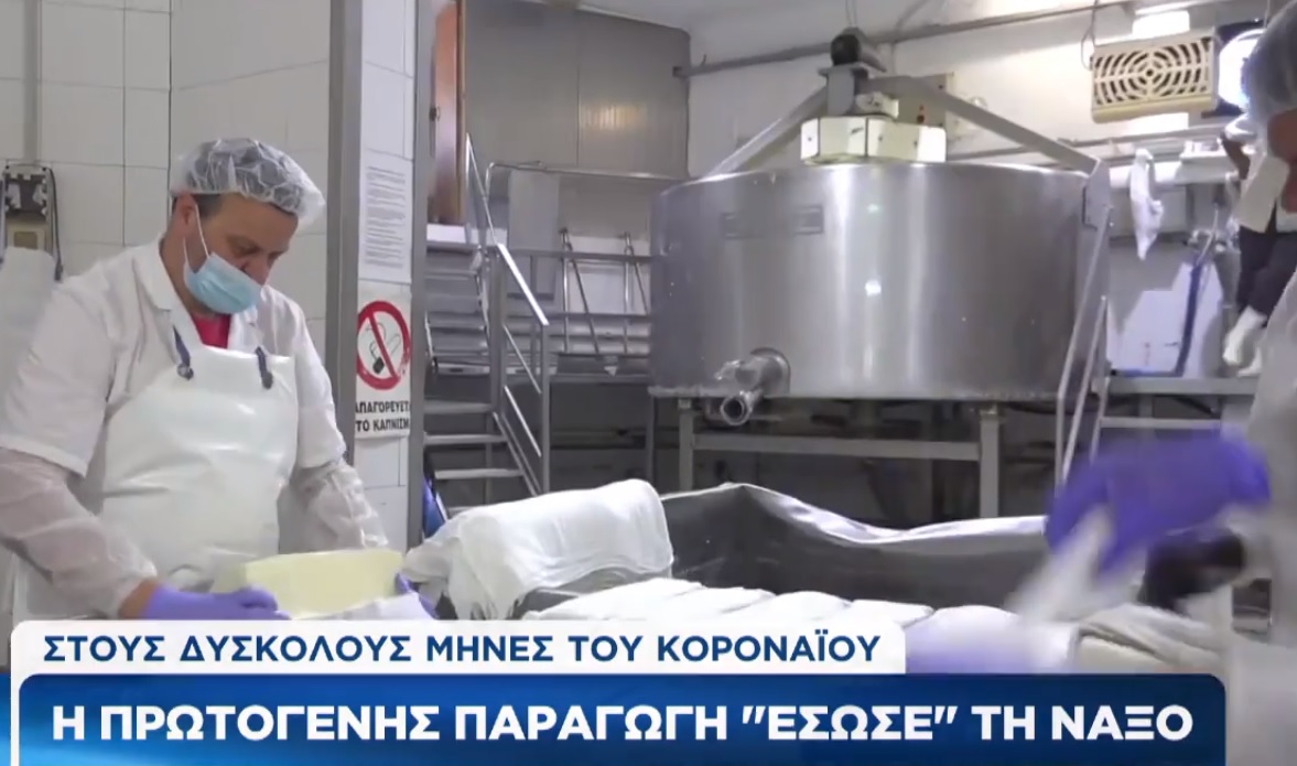 eas-naxou-o-protogenis-tomeas-esose-ti-naxo-h-graviera-kerdizei-kai-to-exoteriko-vinteo-231332