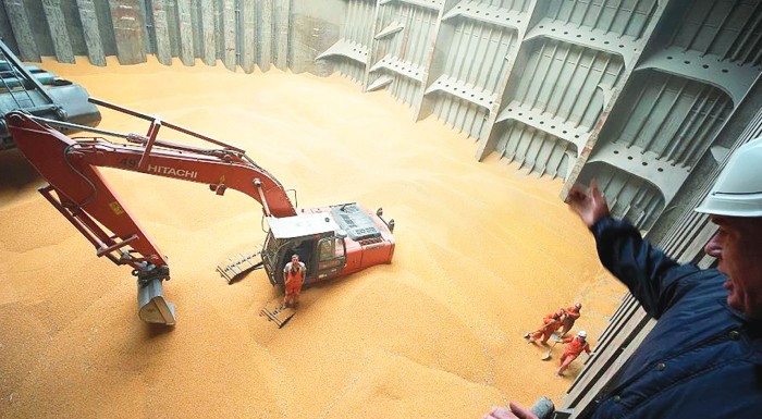 i-zitisi-trava-psilotera-ta-agrotika-eborevmata-231318