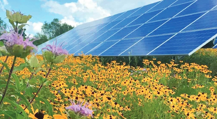 anisychia-stous-paragogous-gia-tin-anexelegkti-exaplosi-ton-fotovoltaikon-231032