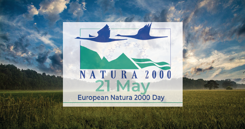 messinia-sto-fos-to-neo-monopati-minagiotiko-natura-2000-231738