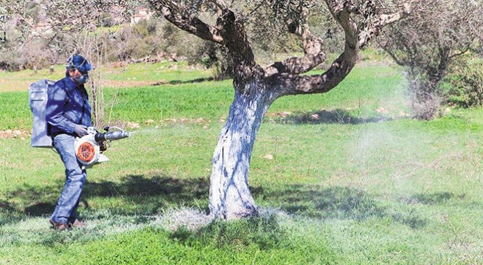 dakoktonia3
