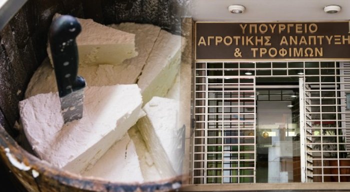 ypaat-prostimo-260-000-evro-stin-galaktoviomichania-omiros-gia-paraviasi-ton-kanonon-pop-sti-feta-233608