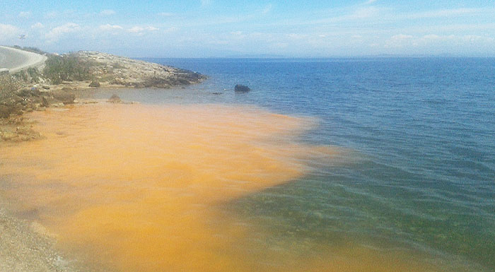 thalassia-vlenna-ston-marmara-ipias-morfis-ta-paromoia-fainomena-sto-aigaio-233445