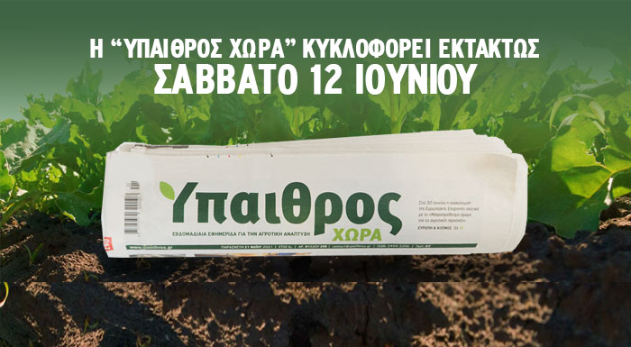 to-ypaithros-gr-symmetechei-stin-24ori-apergia-tis-esiea-to-savvato-12-6-ektaktos-sta-periptera-i-ych-233538
