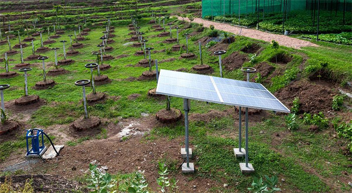 agrotika-kai-stin-praxi-ta-fotovoltaika-kato-ton-500-kw-234730