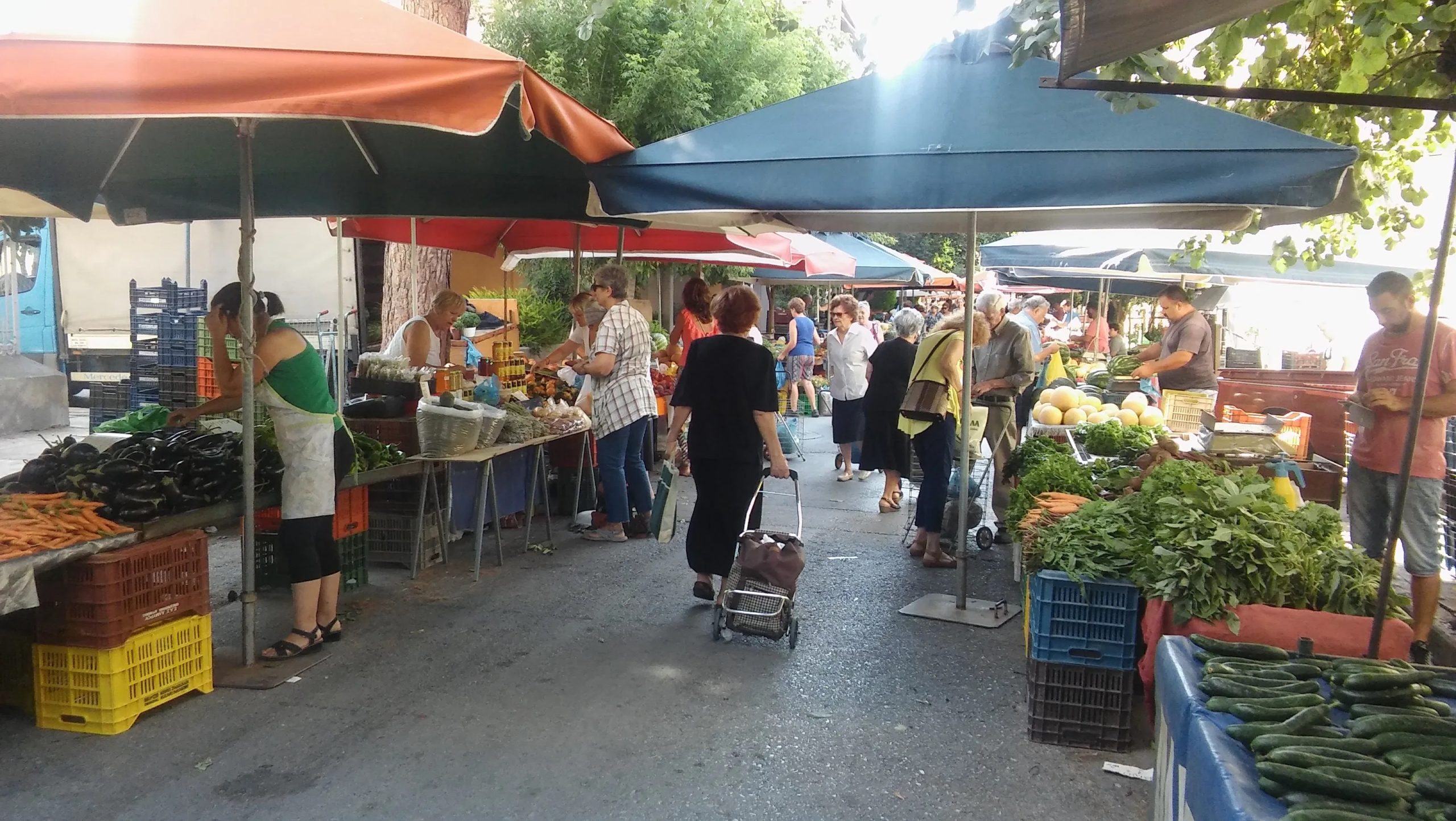 ypaithrio-eborio-poia-agrotika-eidi-epitrepetai-na-polountai-233860