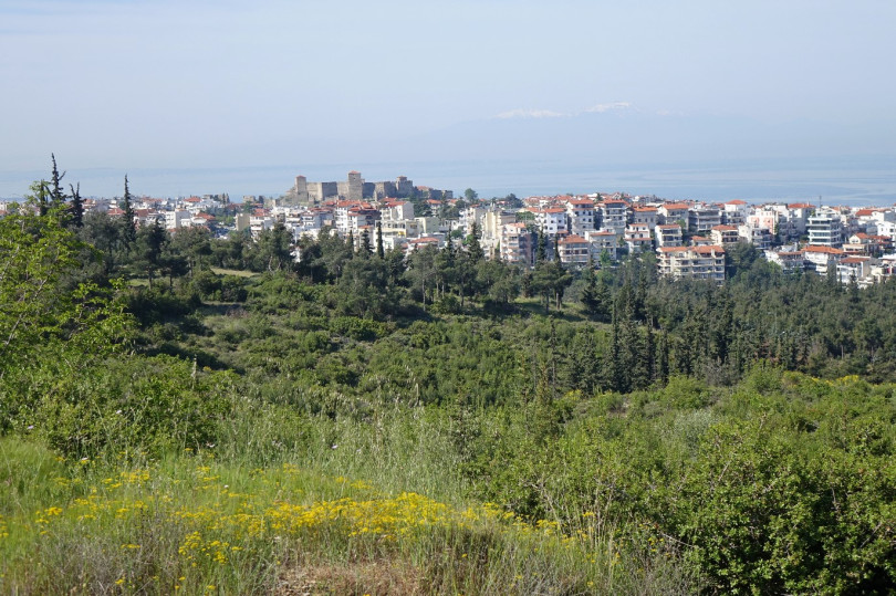 thessaloniki-na-prochorisoun-oi-ergasies-katharismou-sto-periastiko-dasos-zitaei-i-ped-km-234716