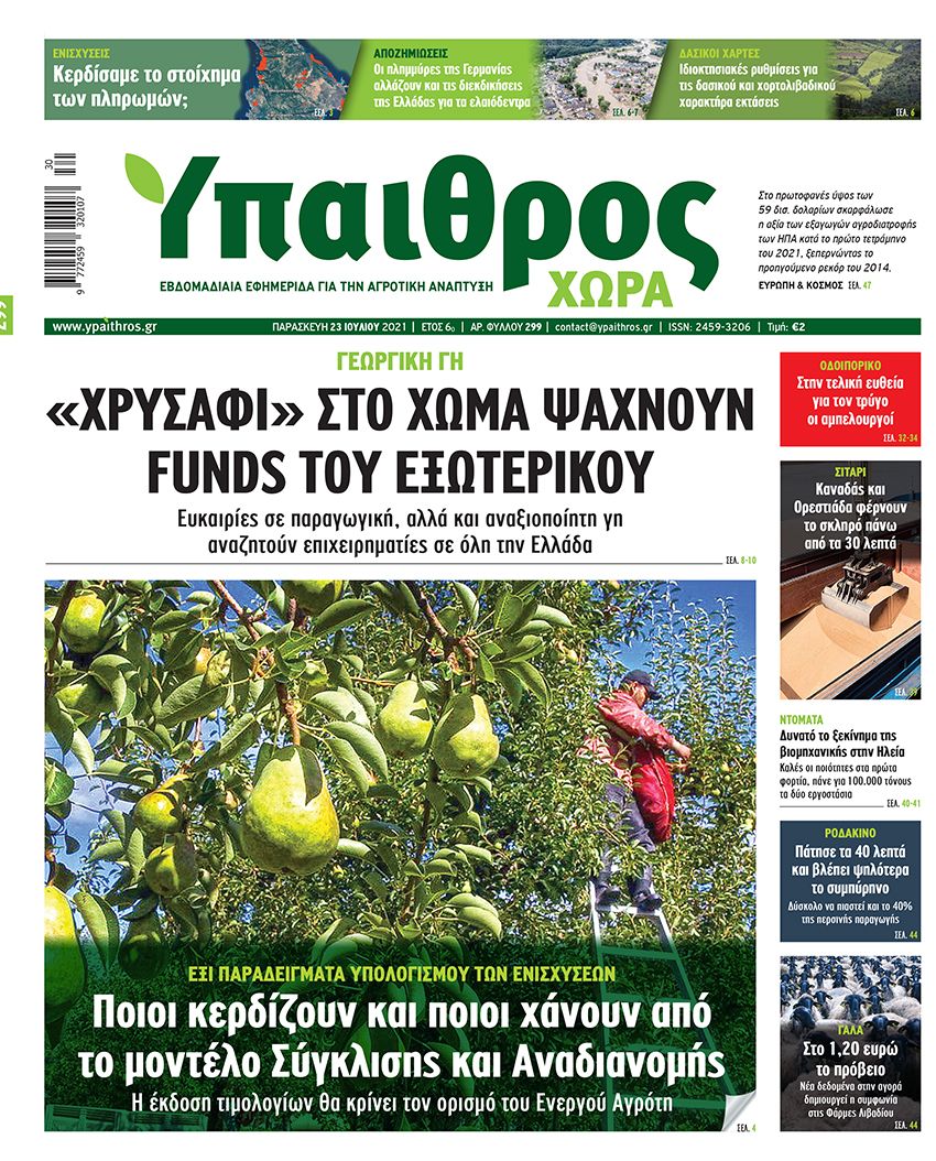 fyllo-299-paraskevi-23-iouliou-2021-237353