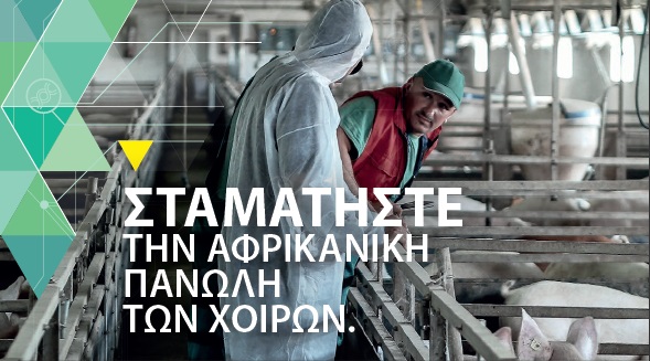 synechizetai-kai-fetos-i-prospatheia-tis-efsa-gia-tin-antimetopisi-tis-panolis-ton-choiron-237776