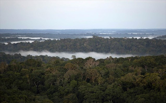 amazonios-pano-apo-to-ena-trito-tou-dasous-borei-na-echei-ypovathmistei-logo-anthropinis-drastiriotitas-kai-xirasias-237725
