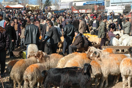 enimerosi-tis-perifereias-an-makedonias-thrakis-gia-tin-eorti-kourban-bairam-236484