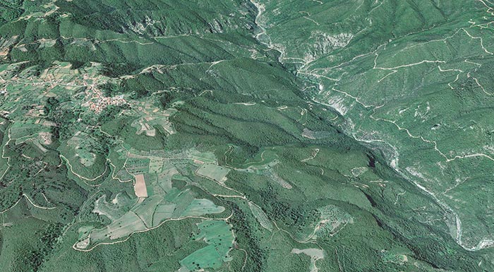 dasikoi-chartes-xekinoun-oi-ilektronikes-diloseis-afthaireton-gia-tin-ypagogi-tous-se-kathestos-eidikis-prostasias-238048