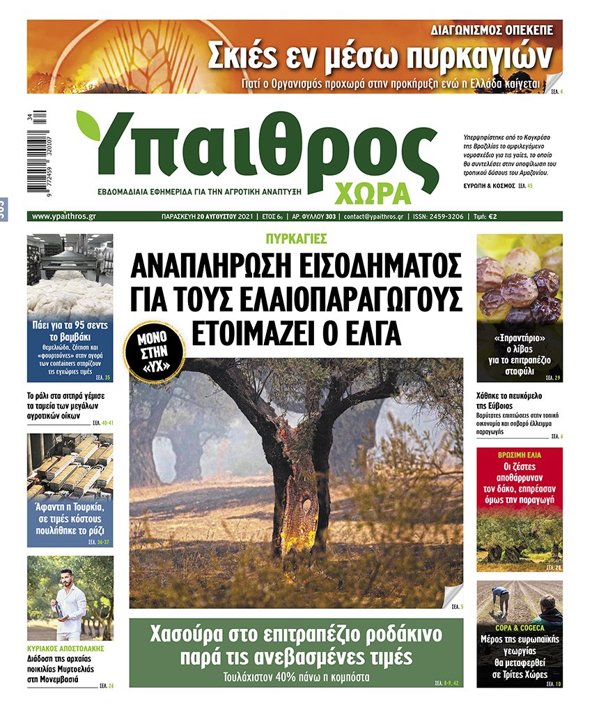 fyllo-303-paraskevi-20-avgoustou-2021-239280