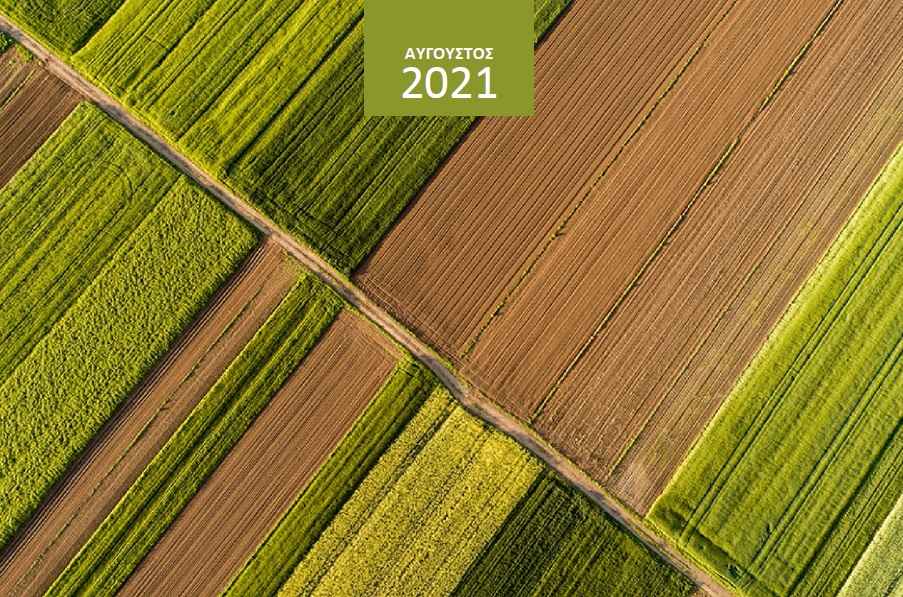 deltio-timon-peiraios-avgoustos-2021-thetikes-oi-apodoseis-sta-agrotika-proionta-ektos-tis-sogias-239474