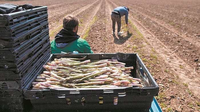copa-cogeca-meros-tis-evropaikis-georgias-tha-metaferthei-se-trites-chores-exaitias-tis-prasinis-symfonias-239551