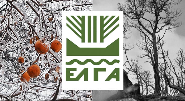 elga-xekinisan-oi-aitiseis-gia-koe-etisio-2019-kai-pyrkagies-2019-238519